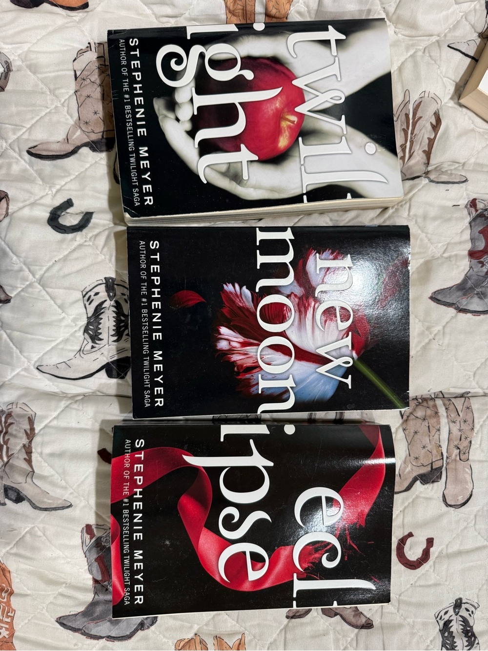 3 twilight books